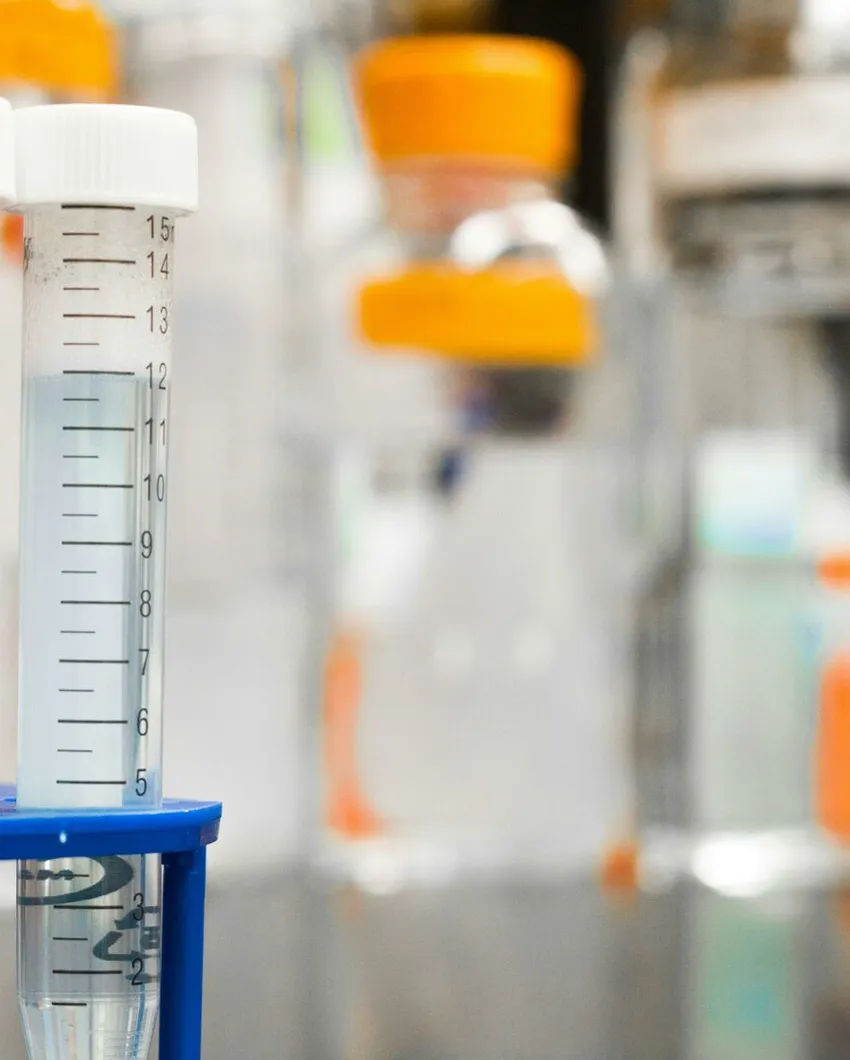 Two clear test tubes in a laboratory, essential for scientific research.