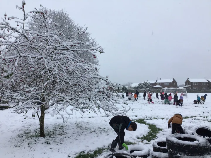 Snow1