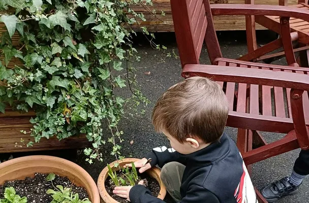 Jc garden