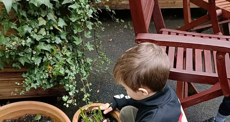 Jc garden