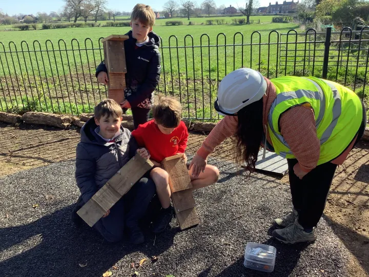 Bat boxes