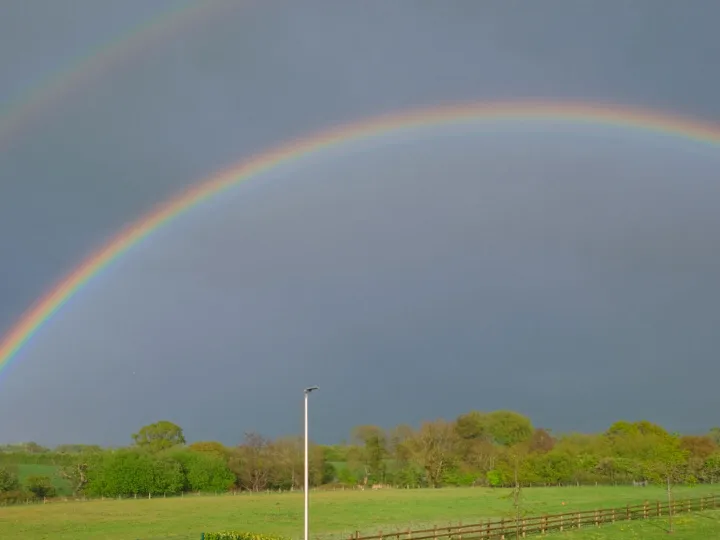 RR Rainbow F7125