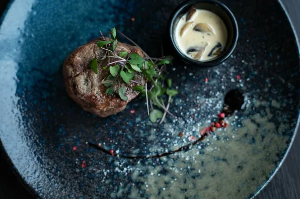 Elegant plated steak dish garnished with microgreens and served with creamy mushroom sauce.
