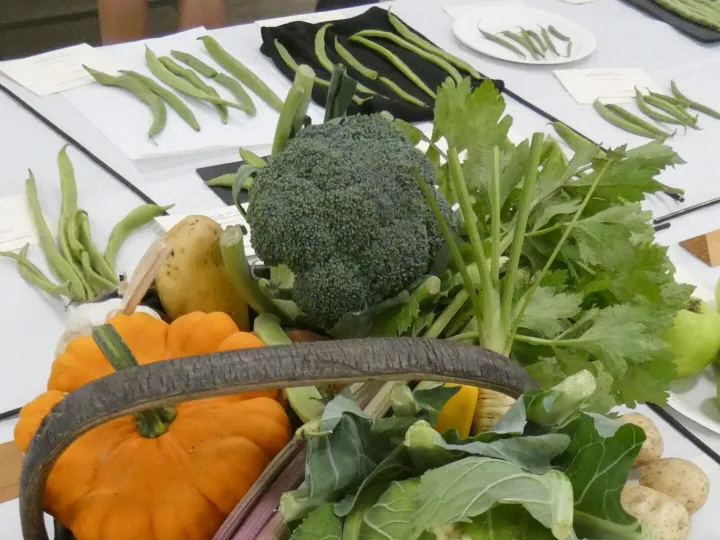 HHS Show Veg 2025_01