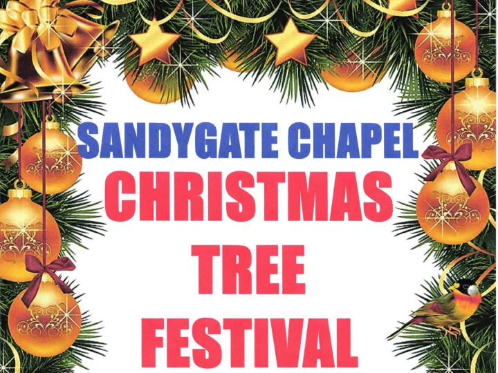 Sandygate Xmas Trees