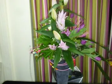 Ashton Hayes & Tarvin Flower Club March 2017 P1030205