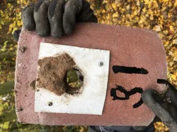 Nuthatch Using Great Tit Box Outside Laura Denny