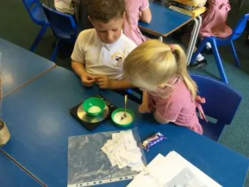 Image: 8626B300-EDEF-45C6-ACB5-9B5749E85D34