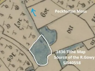 Gowy Source Of The Gowy (1)