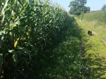 Image: 20190919 135809