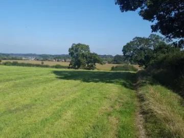 Image: 20190919 140402