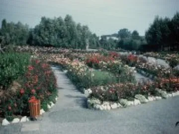 CZ_Sept1960
