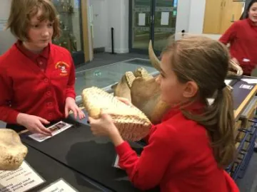 Image: 02A853AA-7BD3-4F1C-87CF-5C8A2BE8D5A2