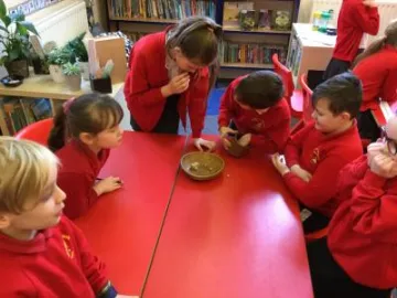 B76809C7-A4E5-4D97-8B73-A25031FF7C6E