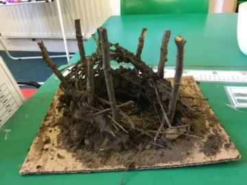 Image: 95CBBD13-26B6-4FC8-BCF5-68CD30396322