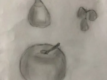 ER3