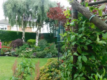 Image: 2019-07-13_15-20-19