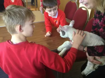 C0A5CE4F-6C40-4A9C-AF57-AD850DEDBAF8