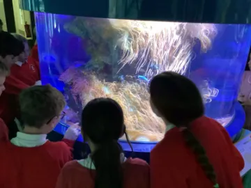 81DFC19B-366F-46F6-9047-E4912E1B58F6