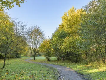 Image: 20231111 115333 Enhanced NR