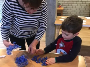 Wimborne Celebration