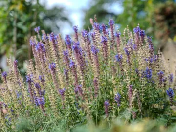 Mellor Knowl Farm-65