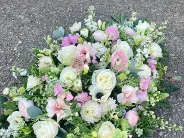 Original-161383f2-391c-4f15-B6