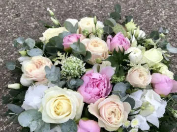 Original-295e43cd-3f79-4fa1-B3