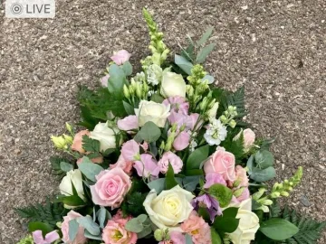 Original-9ff32036-19c2-4260-A8