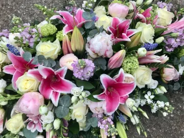 Original-586f133d-Ce5a-4448-8d