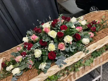 Processed-15c751a4-993c-4cf7-8