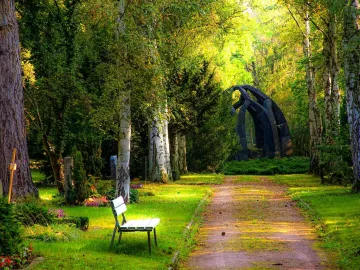 Serene pathway through a forested cemetery area