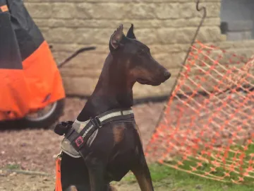 Whatsapp Image 2025-11-03 At 08