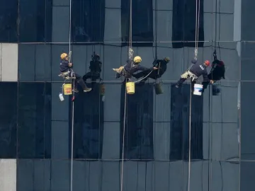 Window cleaner, window cleaning, office, person, f