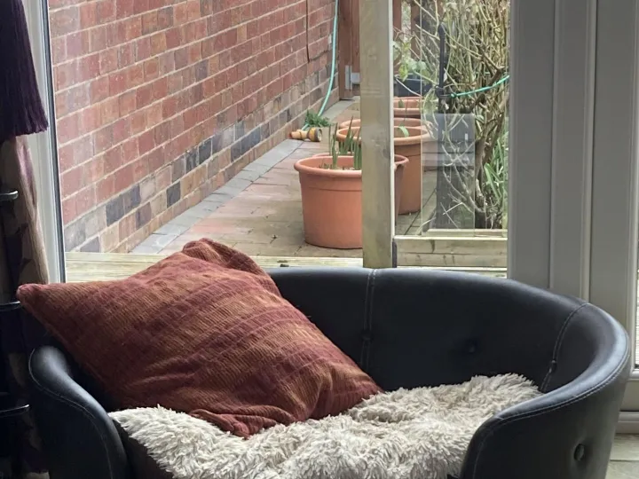 Items for sale
– Leather dog basket/bed £40