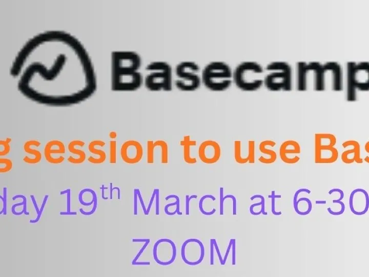Basecamp Training Crop