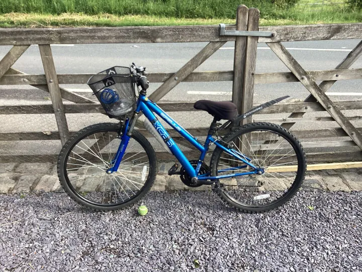 Items for sale &ndash; Ladies/girls bike 50