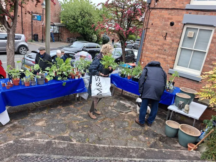 Plant Sale 3
