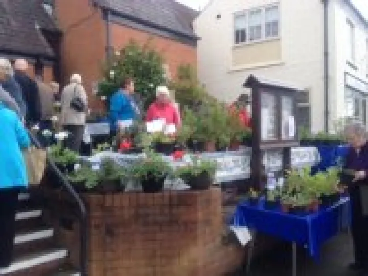 Plant Sale 2015 Photo 2 (13)