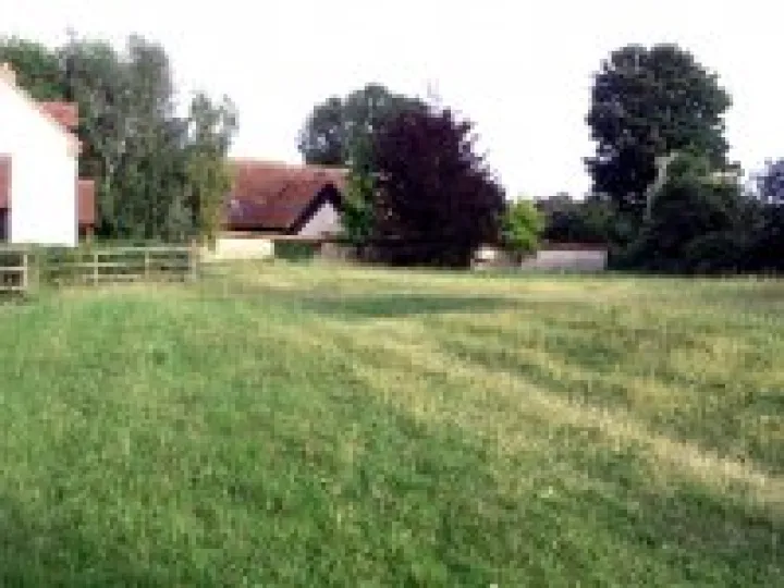 Community Orchard 01