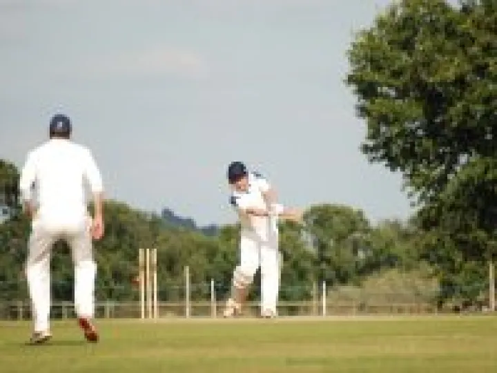 Batting for all it's worth