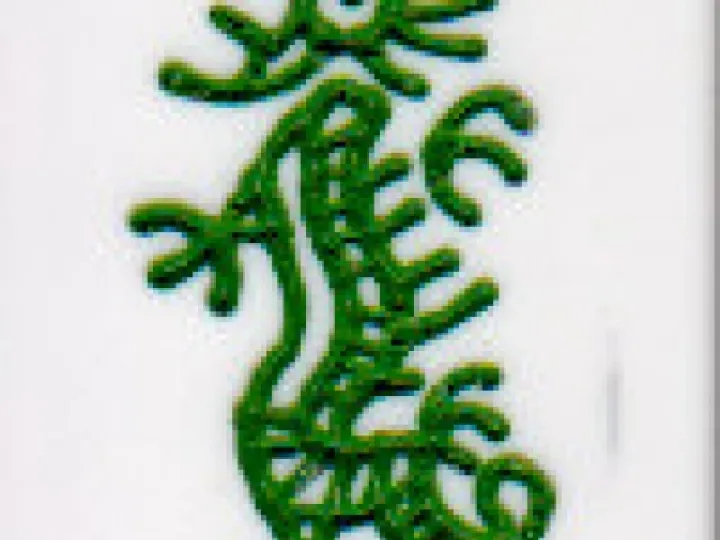 Green Dragon