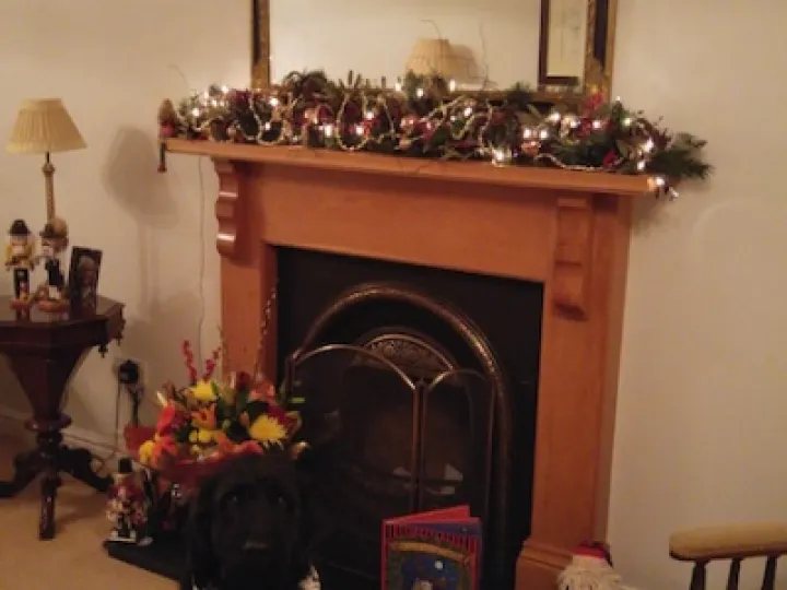 20151221_183340_Burst02