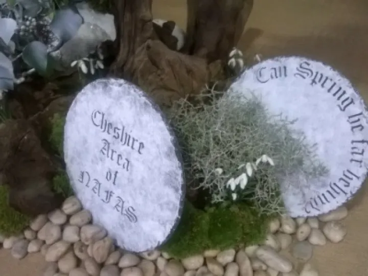 Chester Display
