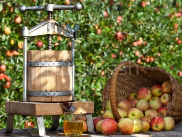 pressed-apple-juice