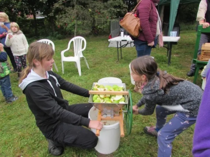 Apple Pressing (2) 2015