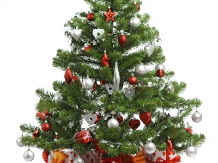 IMAGENAME-136394329639102301