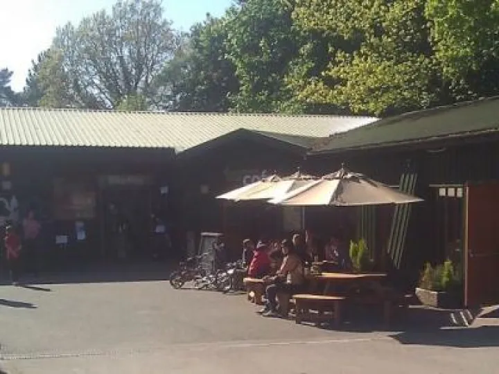 cafe_Delemere Forest