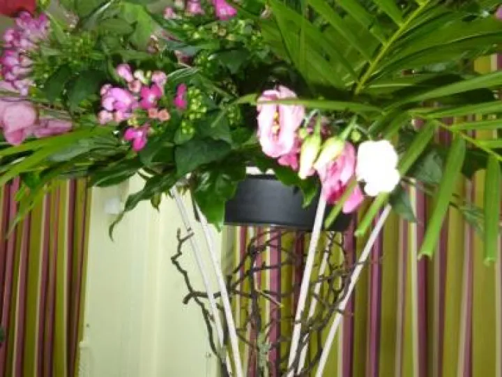 Flower Club April 2017 P1030233