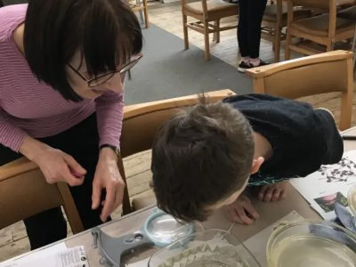 Looking for specimens